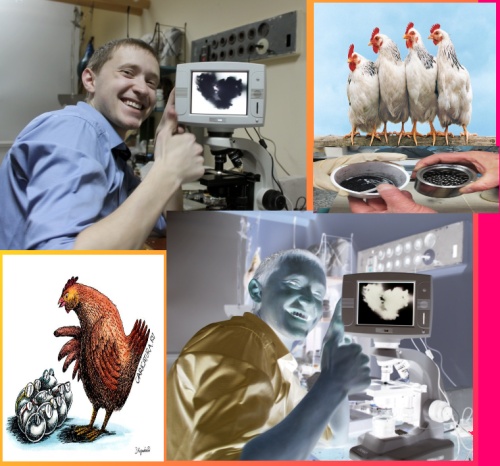 яйцо с детёнышем от нас в него зароют..