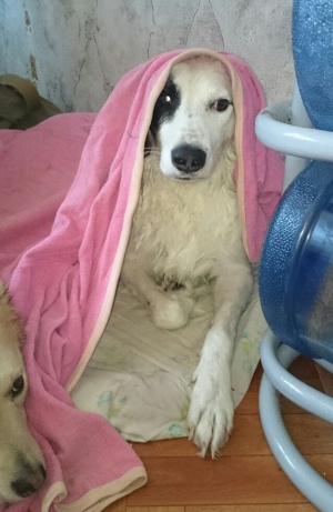 рабыня - как святыня для мужика в глуши