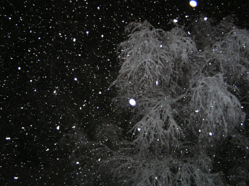 Падает снег на звонок. Снегопад ночью. Снег за окном ночью. Метель ночью. Метель за окном ночь.