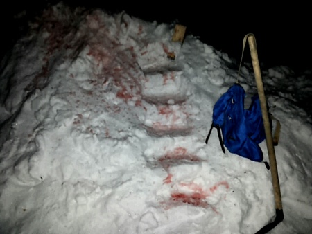 Где зародились -туды и вернемся