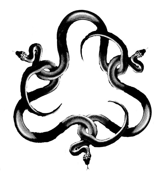Змея значение символа. Змеи переплелись. Символы со змеями. Змеиный символ. Змея обвивает.