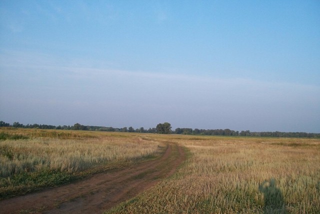 Движение недаром смысл жизни!