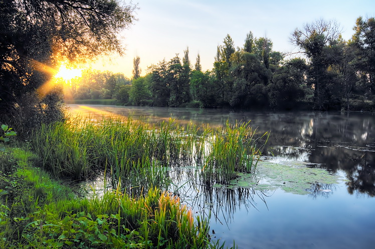 Этим я дышу... (Владимир Герасимов 55) / Проза.ру