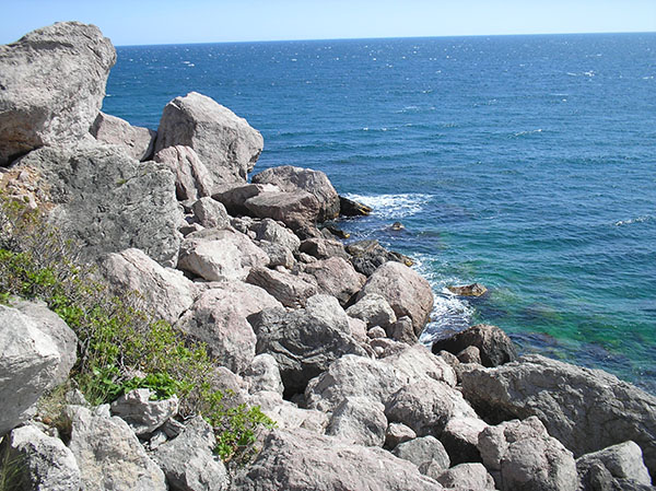 Несколько слов о пользе водки