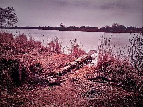 Краткий рассказ 1 (Саша Щербак) / Проза.ру