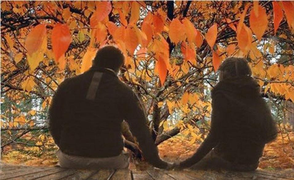 Осенний вечер двое. Что такое диалог в музыке. Сочинение на тему золотая осень. Монолог моя встреча с осенью. Сочинение о осине.