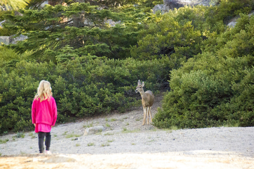 Калифорния