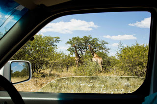 Если долго, долго, долго...