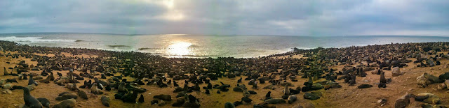 Морской мегаполис