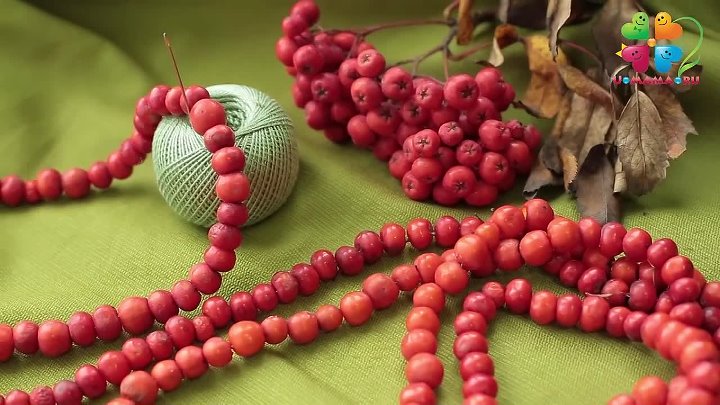 Рябиновые бусы