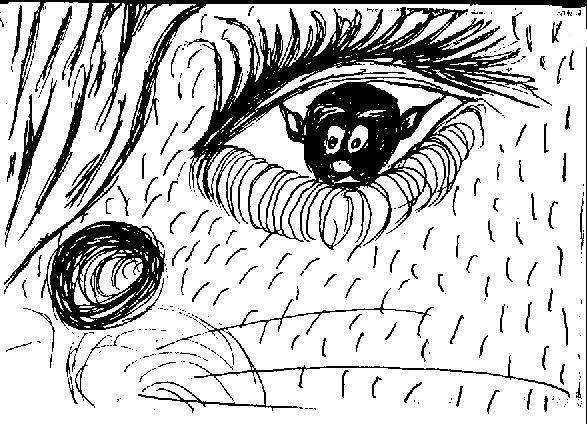 Ватерлиния Высшего Адреналина