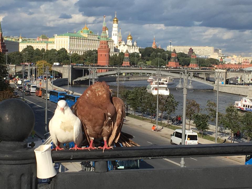 Кремль с Патриаршего моста