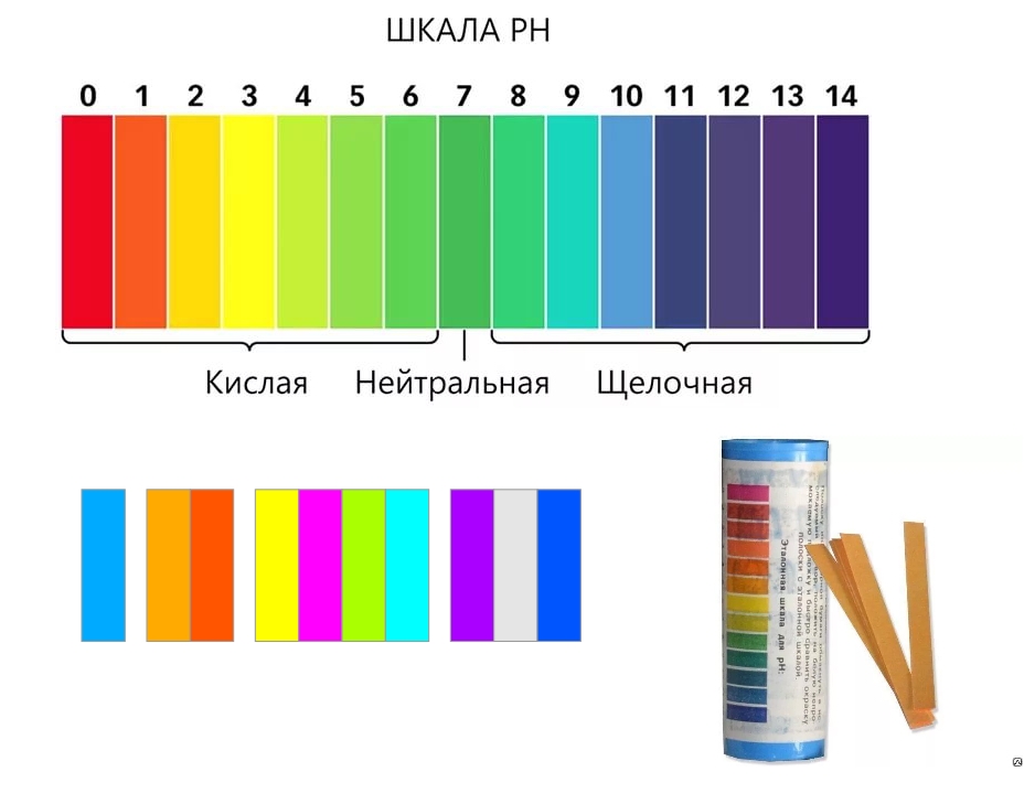 Рн Тест Купить В Аптеке