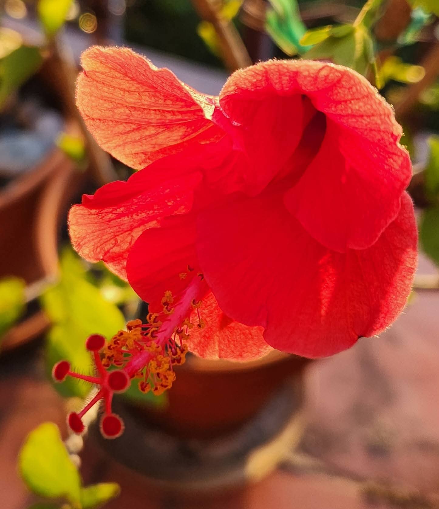 по дороге домой