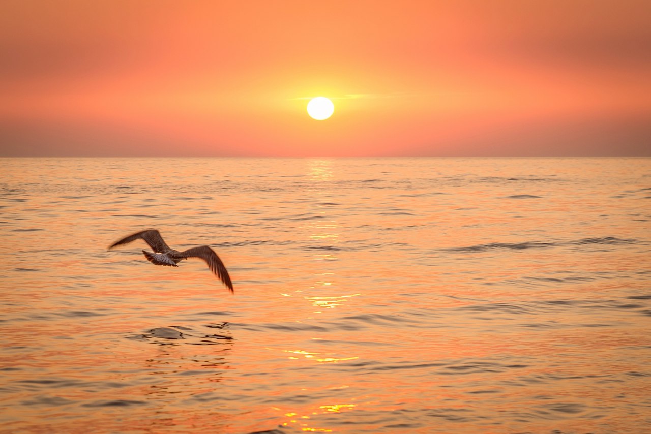 Солнце над морем Анапы