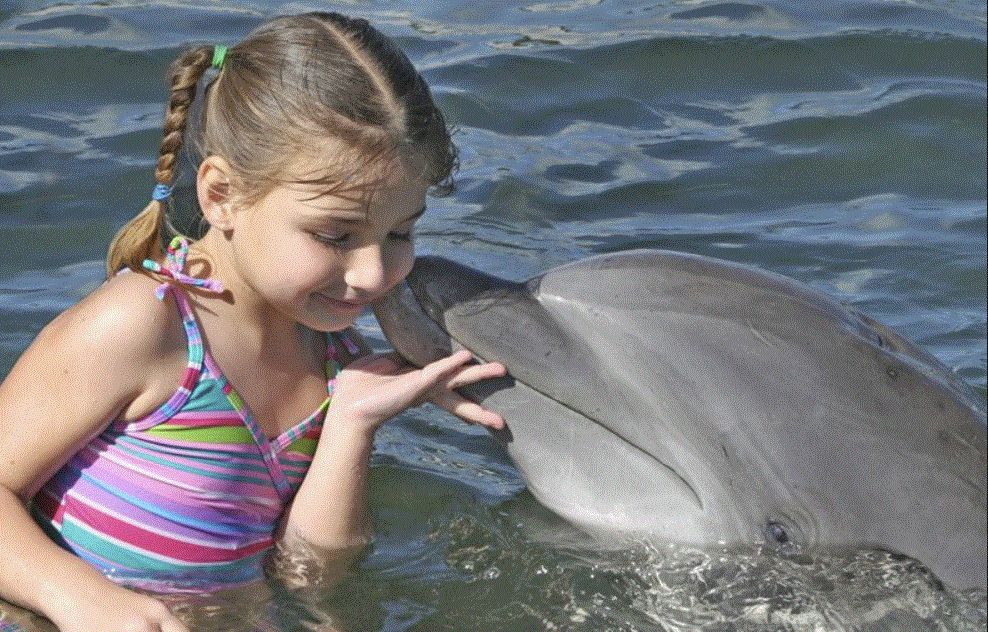 Дельфины для детей. Дельфинотерапия для детей. Фотосессия с дельфинами. Девочка и Дельфин. Удовольствие с дельфином