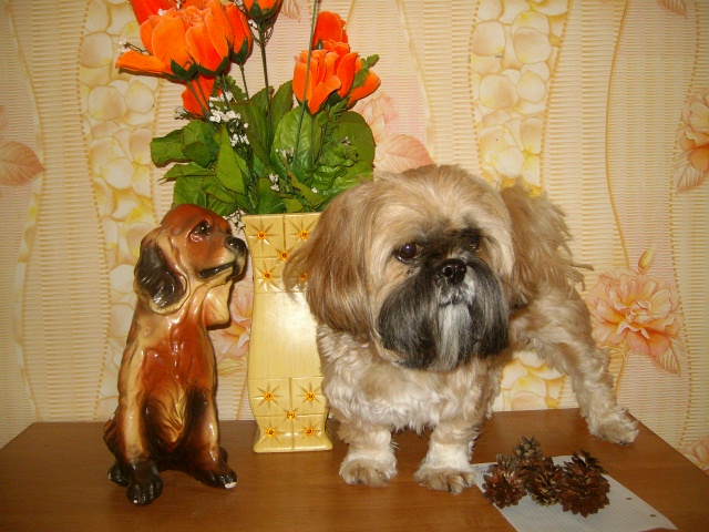 Знакомство с Пикселем