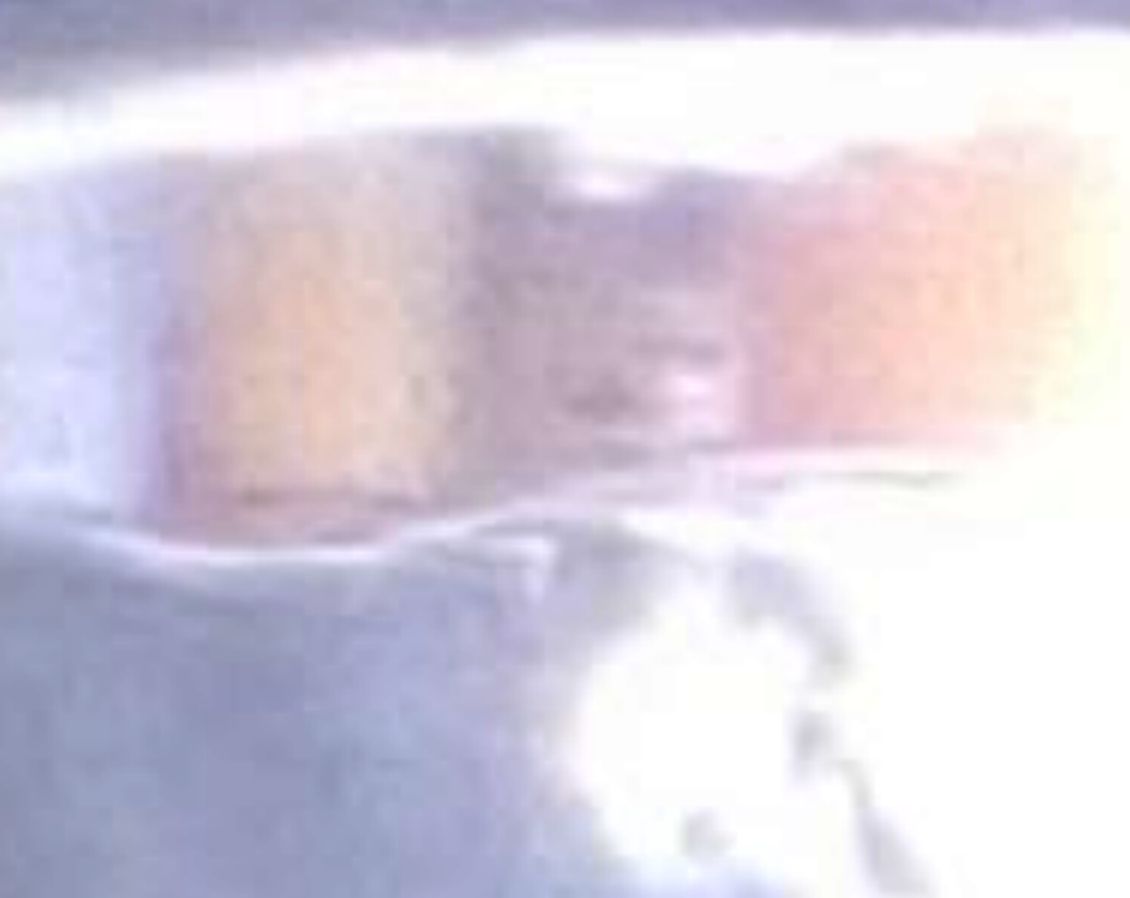 A Boy or a Wolf? Time Traveler, Alien? or Mag? or