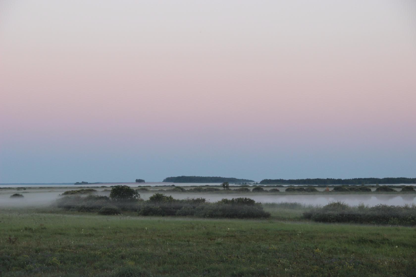 Тронул памяти пласты!
