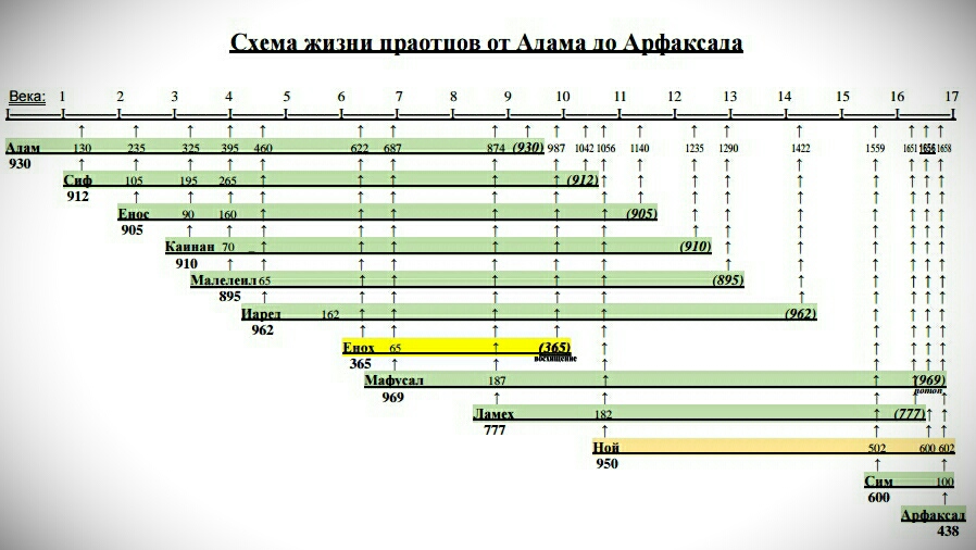 Родословная адама и евы схема