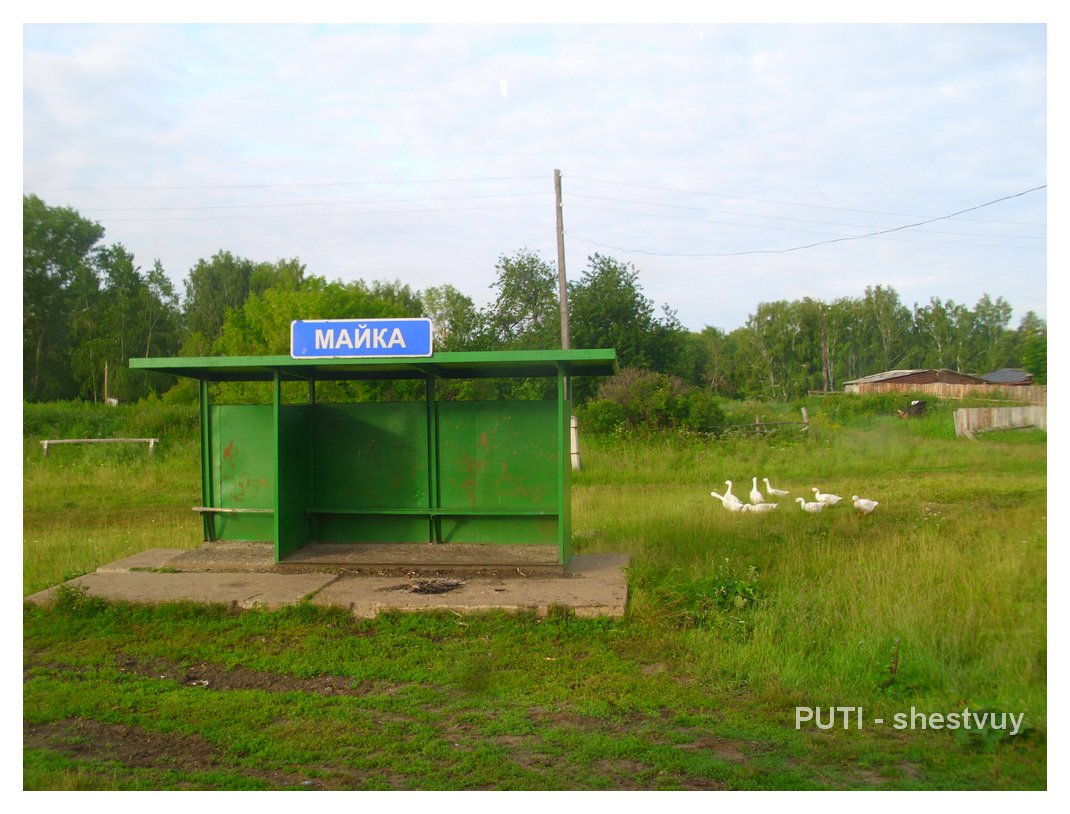 Погода на майке курганская область