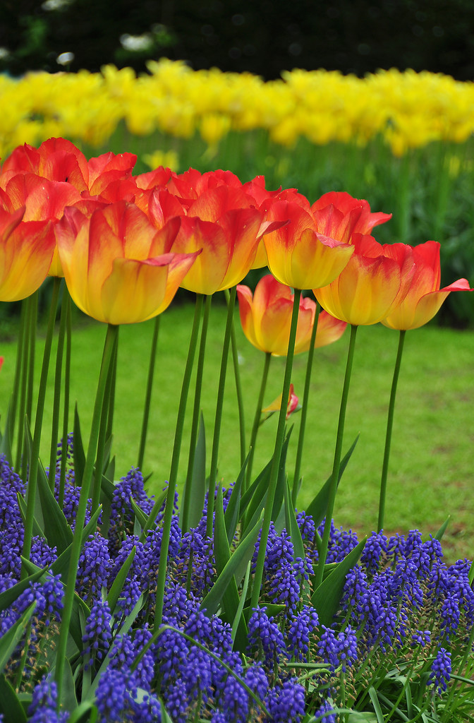 Неравнодушная (Станислава Мурашова) / Проза.ру