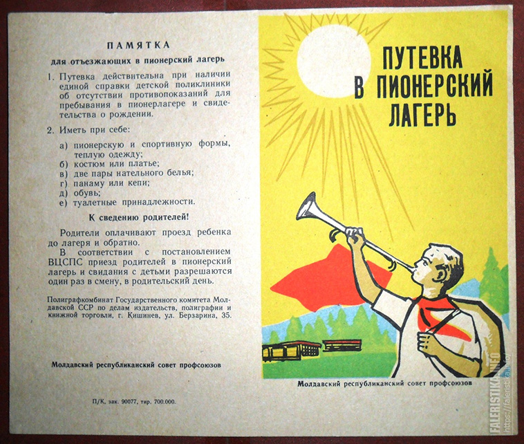 Книги про пионерский лагерь. Путевка в Пионерский лагерь СССР. Постер путевка в Пионерский лагерь. Пионерлагерь плакат. Книга про Пионерский лагерь.