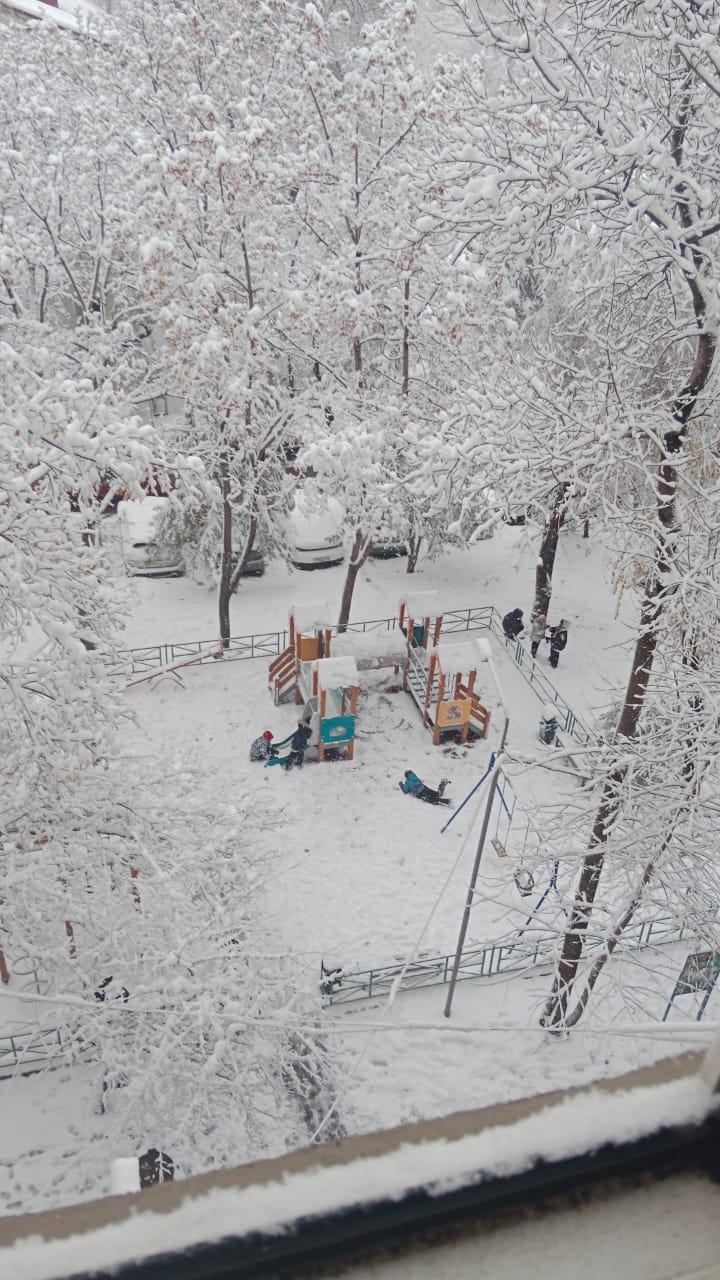 Завтра пойдёт снег