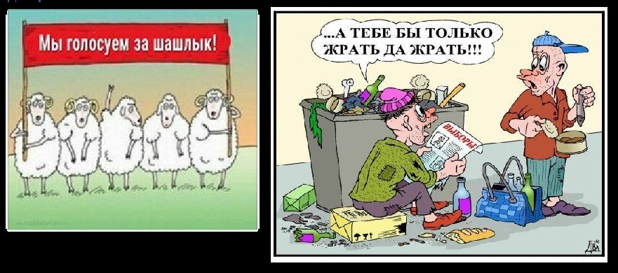 Почему просят проголосовать. Шашлык карикатура. Бараны голосуют за шашлык. Бараны россияне голосуют за. Голосуй прикол.