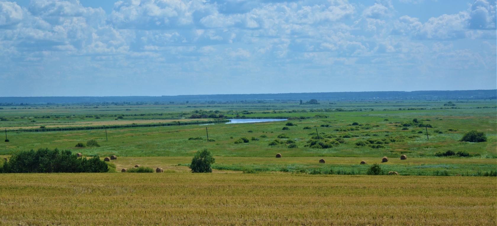 Тюкование идет сена!
