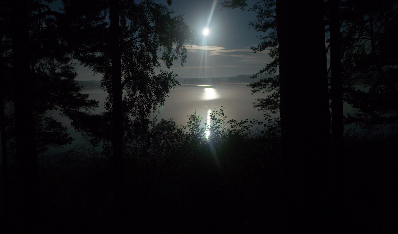 Бывало временами ночью. Летняя ночь. Ночной пейзаж. Лунная ночь в лесу. Летняя ночь в лесу.