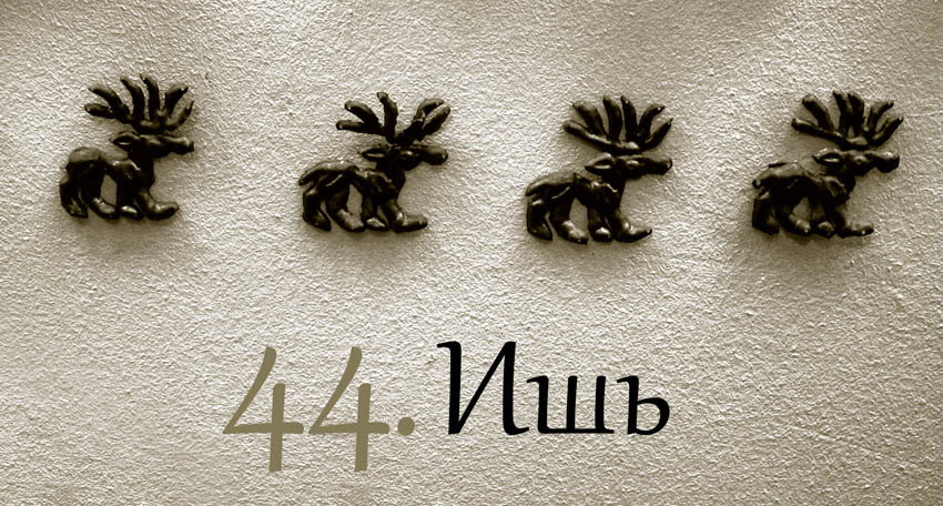 Иж или ишь