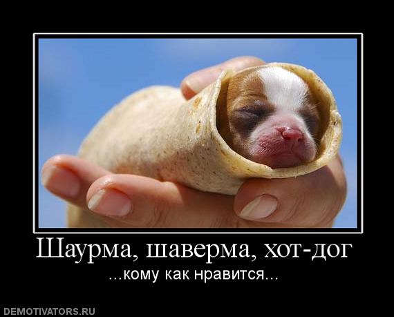 Подпишите петицию делать шаурму из собак мем