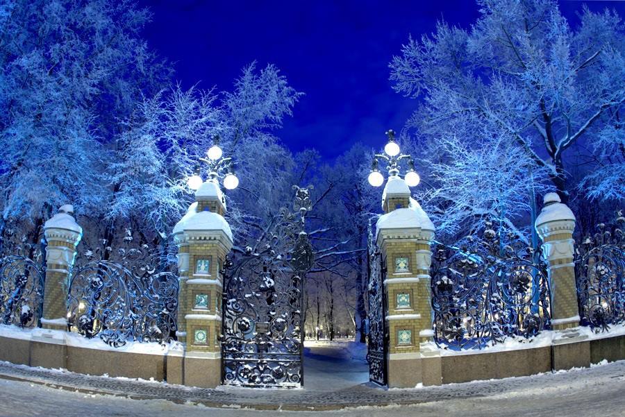Снег над. Летний сад в Санкт-Петербурге зимой. Летний сад зимой в Санкт-Петербурге фото. Летний сад зимой в Санкт-Петербурге зима. Летний сад СПБ зимой.