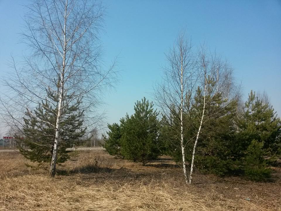 Деревенька (Тарас Фомченков) / Проза.ру