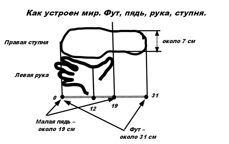 Краткое руководство по тому как устроен мир