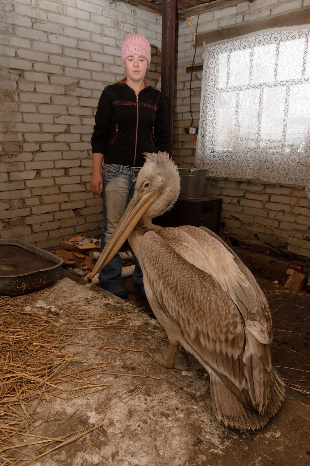 Лена и пеликан