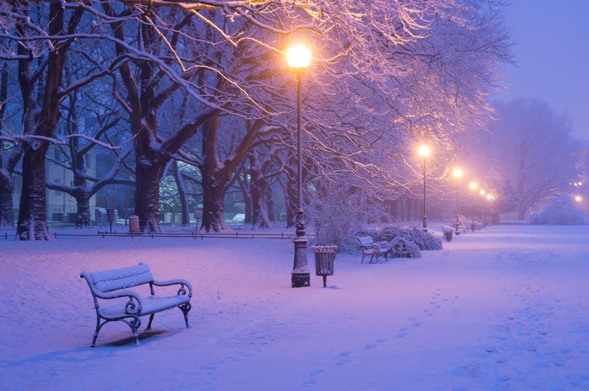 6 вечера зимой. Зимний парк. Зима. К вечеру. Парк зимой. Снежный вечер.