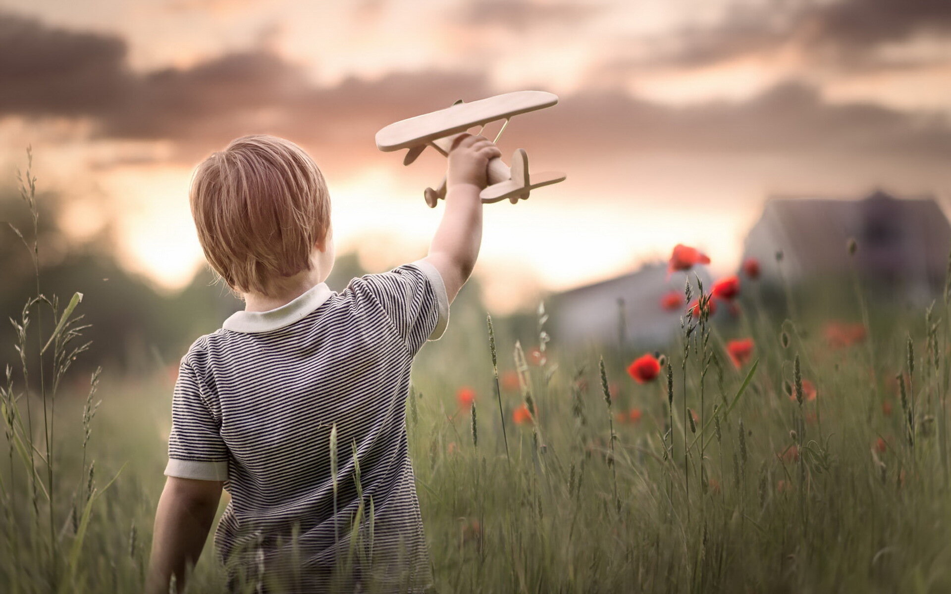 В детстве была мечта и мир. Мальчишки летом. Мальчик в поле с самолетиком. Детство. Мальчик играет с самолетом.