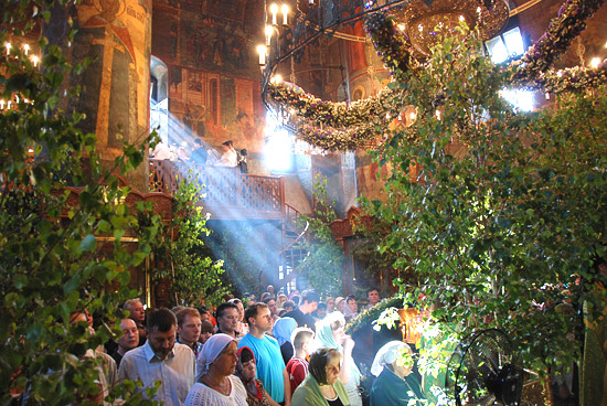 За ушко да на солнышко (Татьяна Аржакова) / Проза.ру