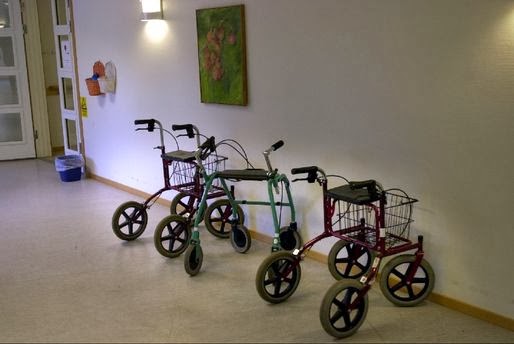 Долгожитель (Наталья Мамина) / Проза.ру