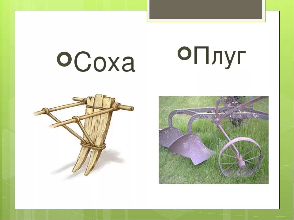 Соха Фото