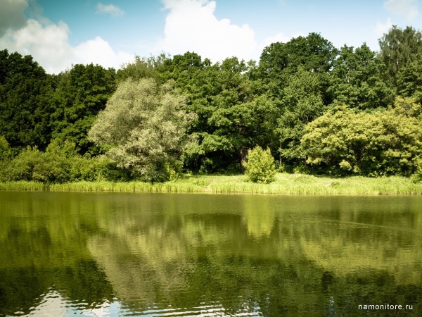 Без мамы... Глава пятая (Эльвира Гусева) / Проза.ру