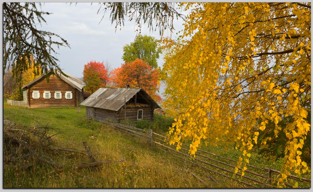 Солнечный день в деревне