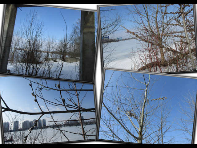 На обломках былых фанаберий