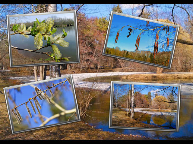 Апрельские тайны