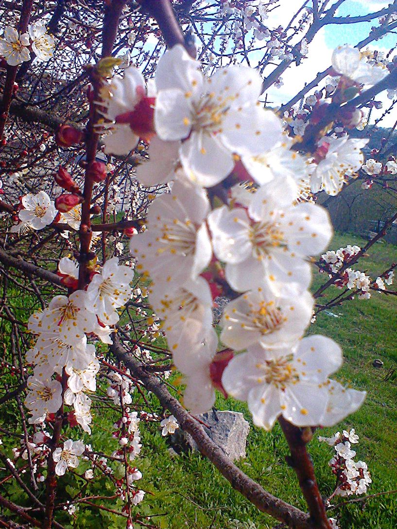 Пасха, братцы, праздник Света!