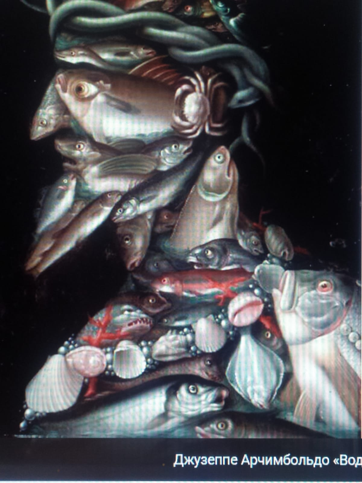 Чисто Черное море