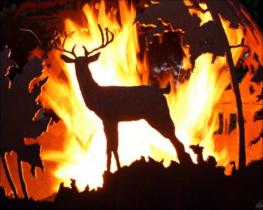 Горящий лось. Горящий лес с животными. Пожар в лесу и звери. Животные в пожаре. Животные в огне в лесу.