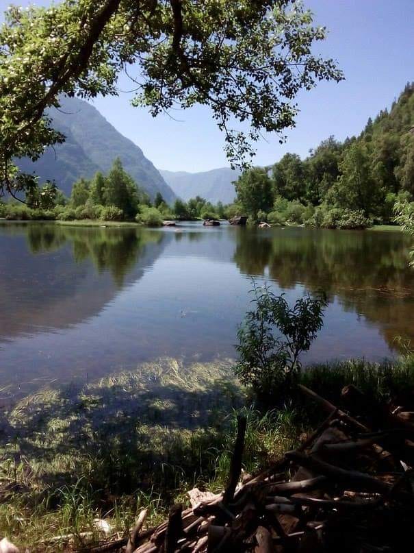 Твоя мечта. Моя жизнь